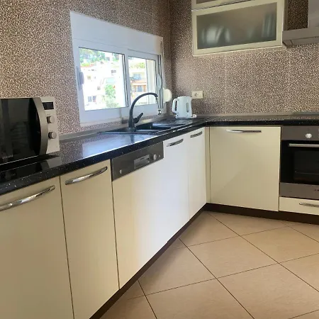 Apartment Luxury For A Large Company